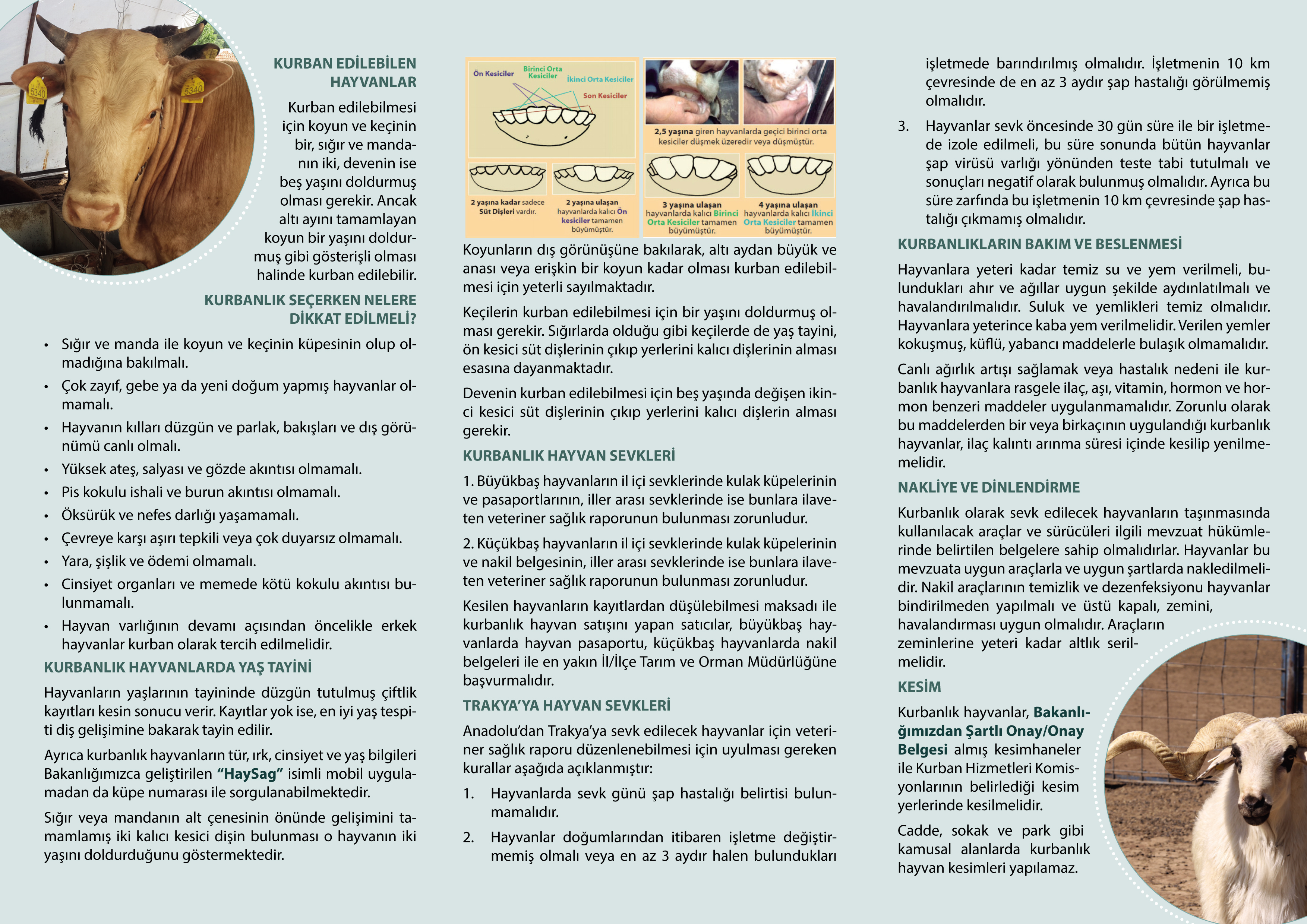 TARIM VE ORMAN BAKANLIĞINDAN "KURBAN REHBERİ"