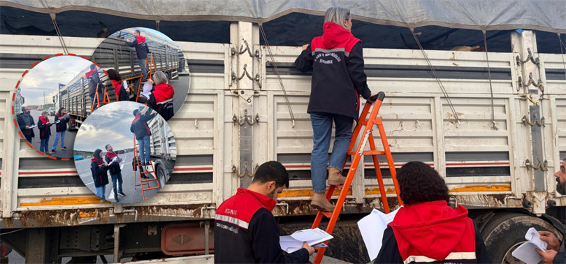 YETİŞTİRİCİ AMAÇLI TRAKYA’YA SEVKLER BAŞLADI: İLK SEVK DENETLENDİ