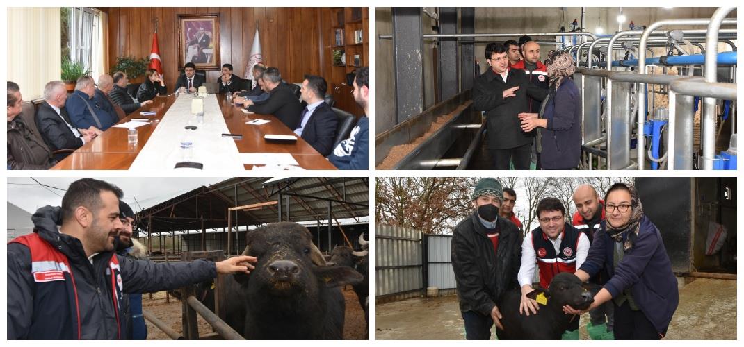 BUZAĞI KAYIPLARININ AZALTILMASI VE ÜREME VERİMLİLİĞİNE YÖNELİK SEKTÖR TOPLANTISI VE İŞLETME ZİYARETİ GERÇEKLEŞTİRİLDİ