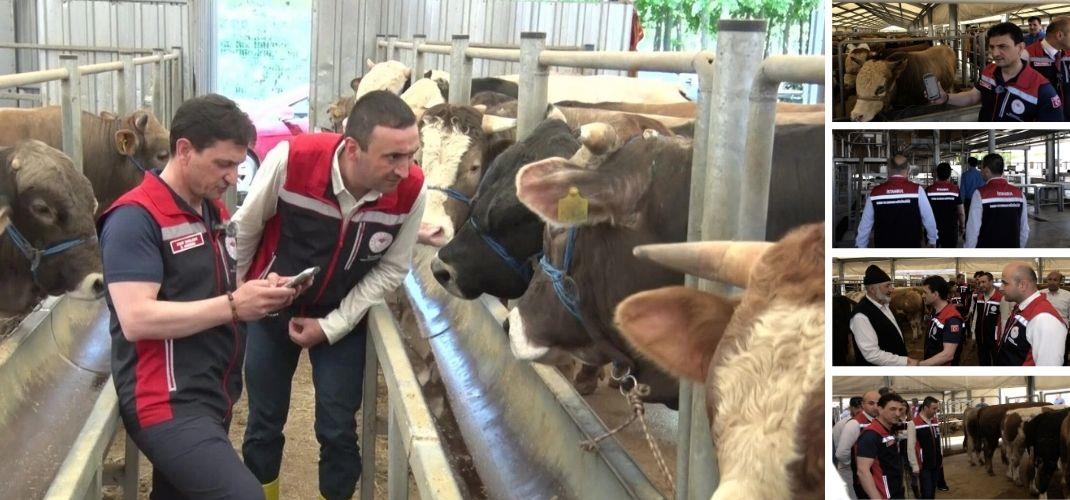 GEÇİÇİ KURBAN SATIŞ ALANLARINDA DENETİMLERİMİZ SÜRÜYOR