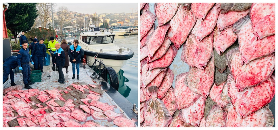 İSTANBUL BOĞAZI’NDA YASA DIŞI KALKAN AVCILIĞINA YÖNELİK DENETİM